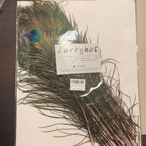 Larryhot Peacock Feathers